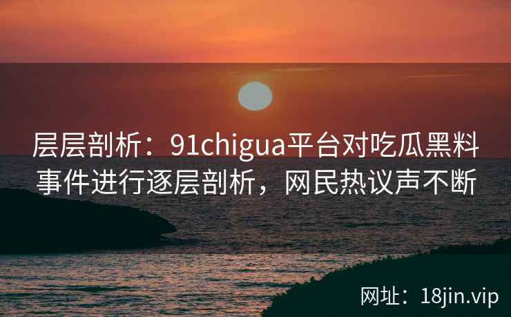 层层剖析：91chigua平台对吃瓜黑料事件进行逐层剖析，网民热议声不断